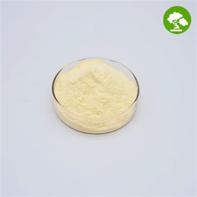 Polvere pura di fillochinone di vitamina K